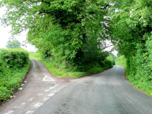 Fork_in_the_road_-_geograph.org.uk_-_1355424